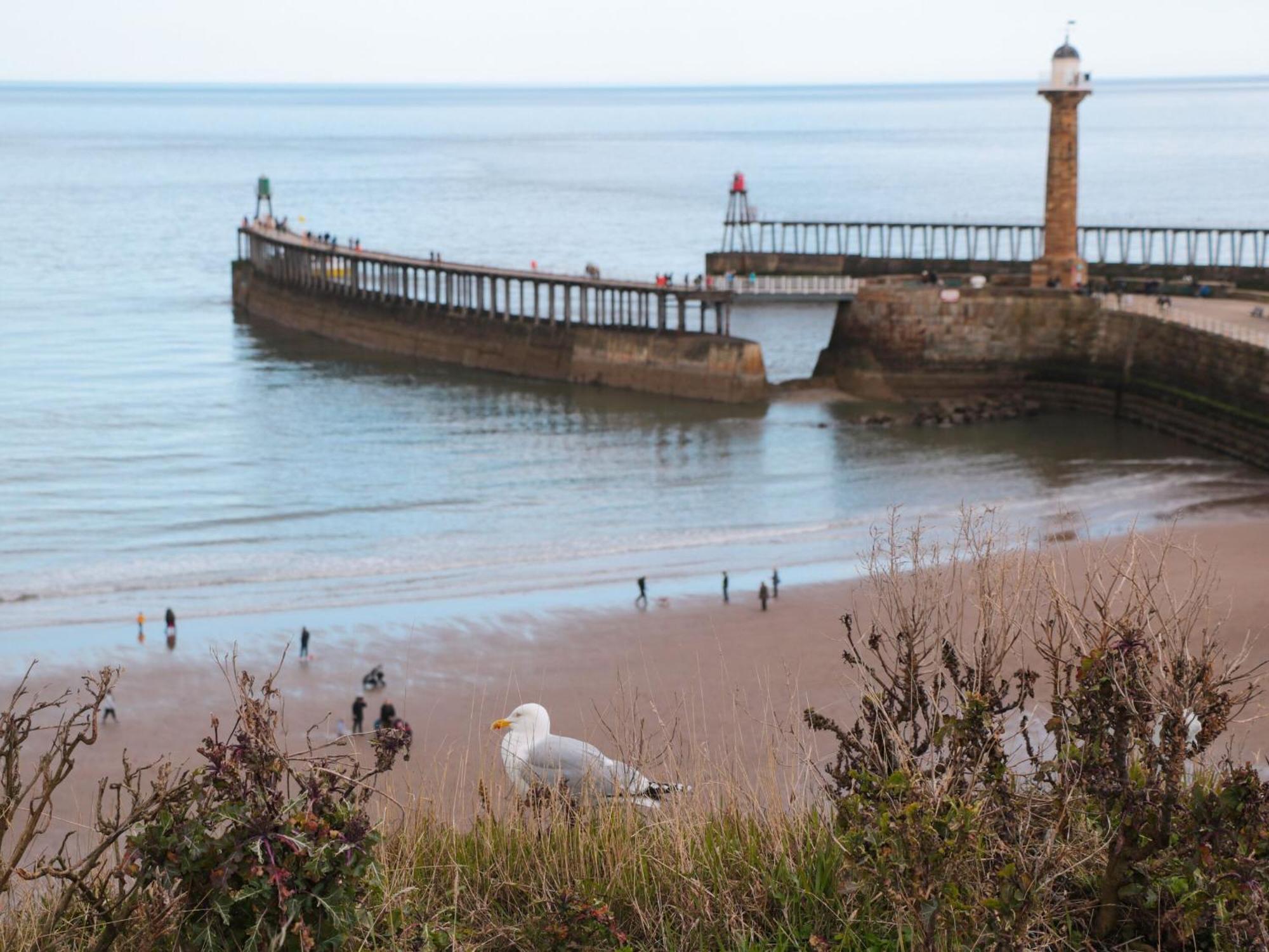 Rosemary Cottage Whitby Esterno foto